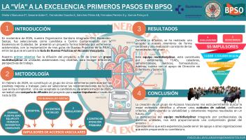 La vía a la excelencia primeros pasos en BPSO (1).pdf